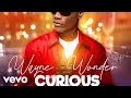 Wayne Wonder - Curious (Official Audio)
