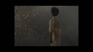 Geri Allen - Red Velvet In Winter