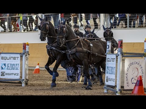 Čtyřpřeží (1. kolo), Zimní jezdecký pohár 2022, Slatiňany 12. 2. 2022
