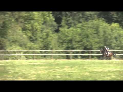 Lot 30 - Coeur D'anjou - F12 - Maresca Sorrento / Partie Time