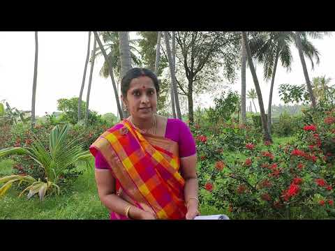 Vijayashri Satsangam-Ep 33- Dharma Sukshma (Nuances of Dharma) - Sri Sri Anna's Upadesa Mozhigal