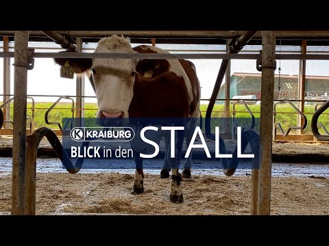 Longer lying areas for the cows and more comfort with KRAIBURG KEW Plus mattress system
