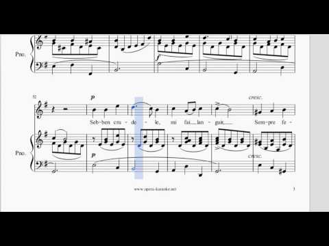 Sebben Crudele - Karaoke in E minor (original key) - Instrumental accompaniment