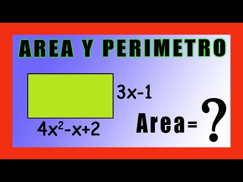 ✅👉 Area y Perimetro de un Rectangulo con Expresiones Algebraicas