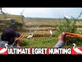 Ultimate Egret Bird Hunting With Slingshot!