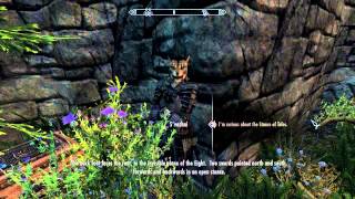 Skyrim - Interesting NPCs mod - S'vashni: Talos Stance