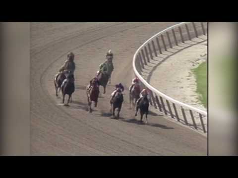 Andy and the Mig - 1990 Metropolitan Mile