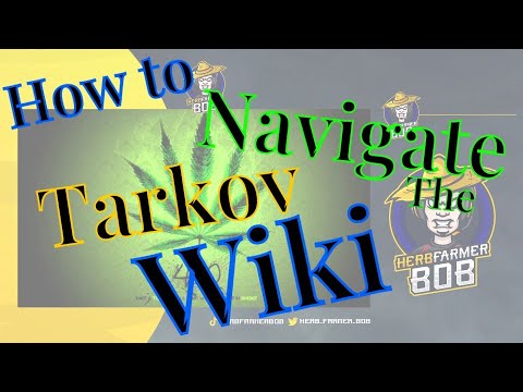 Tarkov Wik