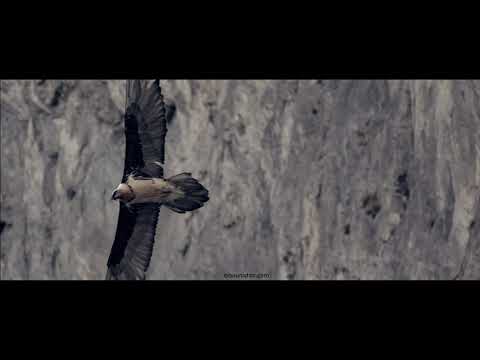 ALL that is left is Sky ( biboudujour )