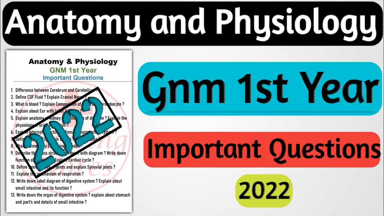Watch video Anatomy and Physiology Gnm 1st Year Important Questions // Anatomy and Physiology Gnm 1st Year Now Anatomy and Physiology Gnm 1st Year Important Questions // Anatomy and Physiology Gnm 1st Year