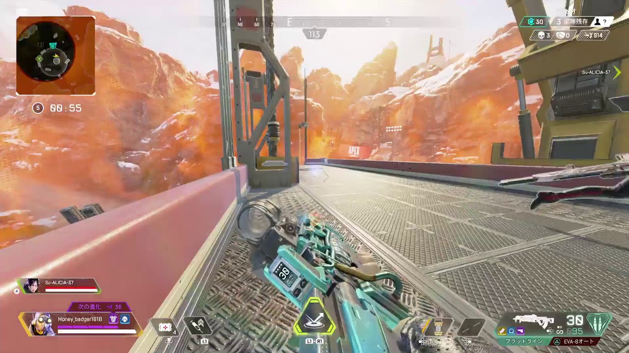 APEXカジュアル(練習中)