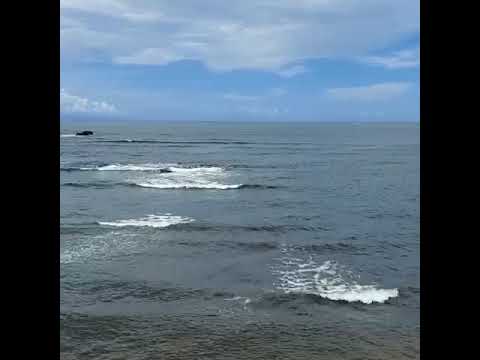 Vacation on  TOCO BEACH ..  TRINIDAD AND TOBAGO..