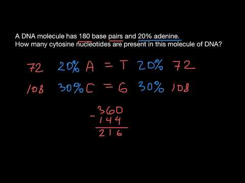 How to find base composition of the dsDNA