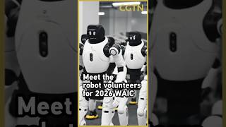 Meet the robot volunteers for 2026 WAIC