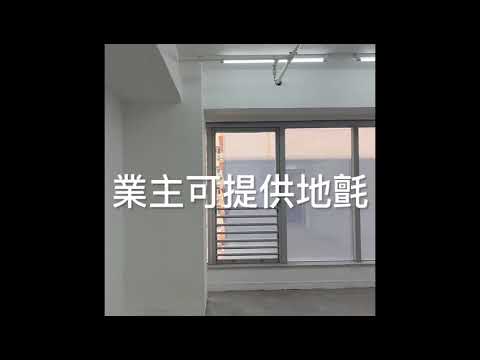 威利广场 Youtube Video