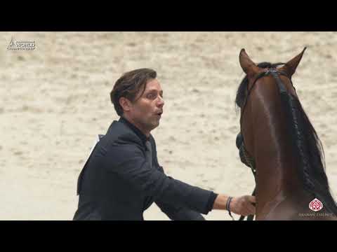 N 139 SHADI AL KHALEDIAH   Paris 2019   Senior Stallions Class 6A