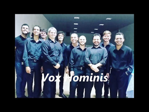 Vox hominis