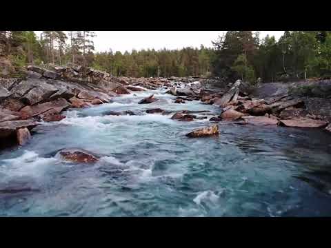 Down the Lazy River -Relaxing Music with Nature Sounds