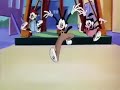 Animaniacs Intro Polish Version