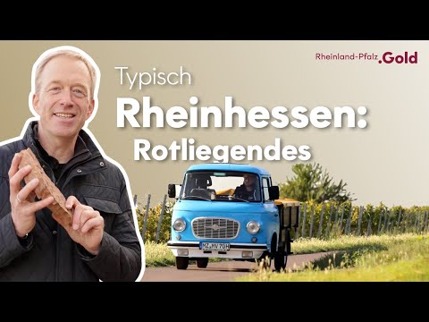 Weinerlebnis am Roten Hang | Finde und setze Meilensteine.