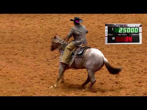 Fort Worth Stock Show & Rodeo History