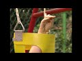 YouTube Poop Oobi And The Terrible Horrible No Good Very Bad Swing