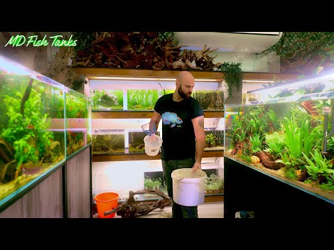 Setting Up A New Tank, Fixing Some Old Ones and a Very Large Plant Delivery