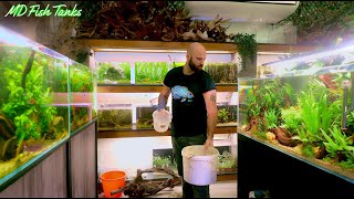 Setting Up A New Tank, Fixing Some Old Ones and a Very Large Plant Delivery
