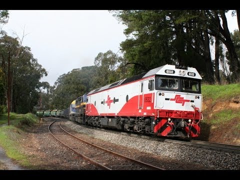El Zorro in South Australia