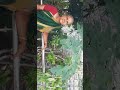 Kamakshi Thalli Mangalaharathi Kamakshi Thalli Mangalaharathi Kamakshiamma