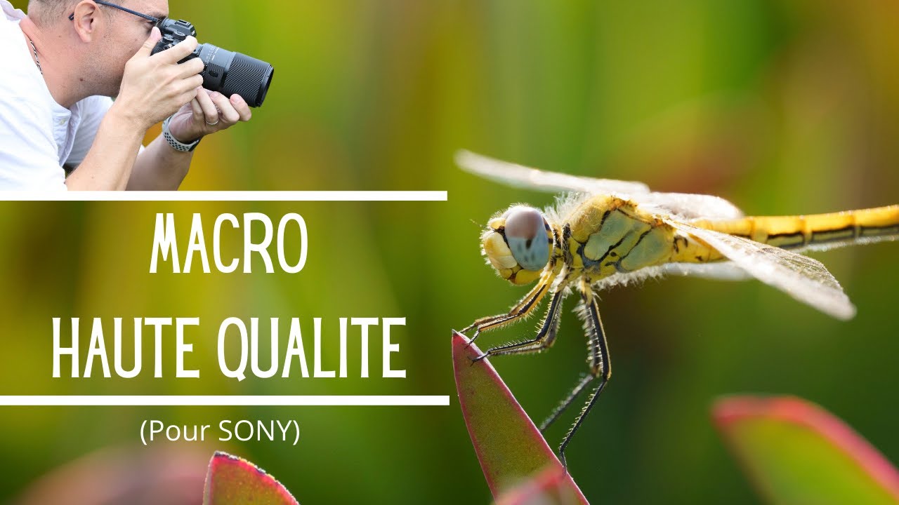 SIGMA 105 F/2.8 DG DN MACRO SONY E ART