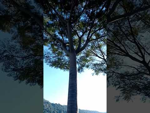 #santatereza #riograndedosul