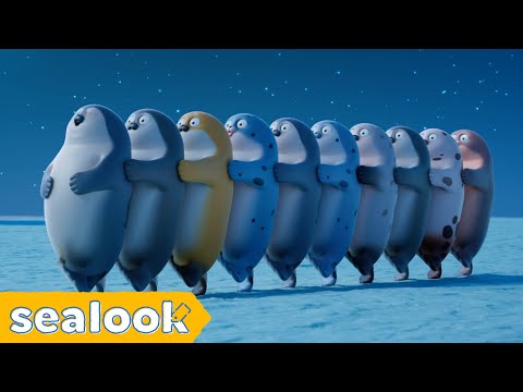 Bedtime Workout!ㅣSEALOOKㅣEP.20