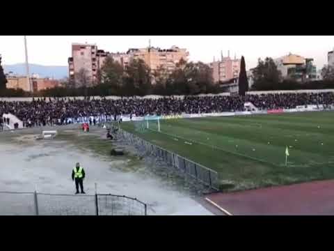 Tirona Fanatics/ pershnet kunotin tat