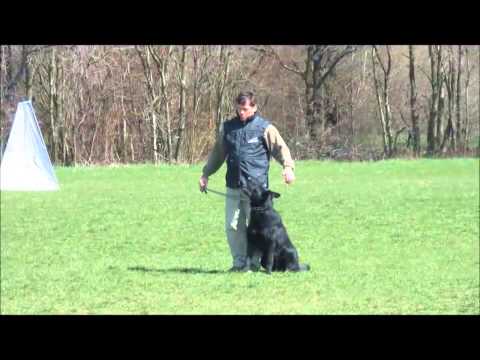 Yke Va Pe   training defence  13 04 2013   Bratislava