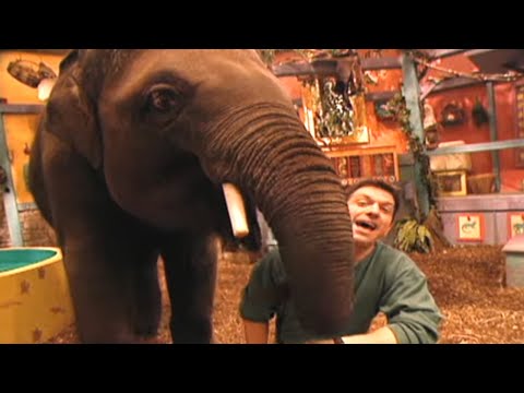 Zoboomafoo with the Kratt Brothers! BABY ELEPHANT | Full Episodes Compilation