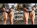 How To Get Bigger Legs, Set Up Your Training To Grow