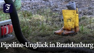 Einsatzkräfte um Eindämmung bemüht