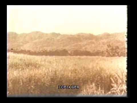 Pedro Flores, compositor de Puerto Rico