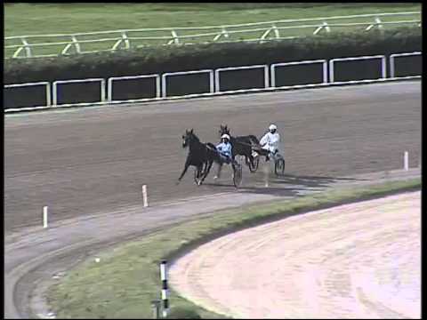 Trotto 08/02/2015 - Prova di qualifica