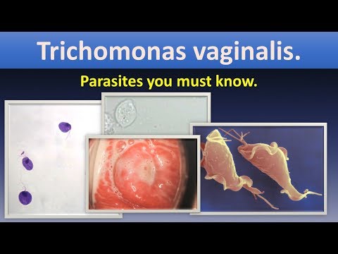 Trichomonas háttér