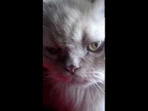 2016 07 30 09 47 30 378