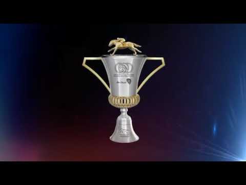 SHEIKH ZAYED BIN SULTAN AL NAHYAN JEWEL CROWN - INTERNATIONAL HORSES TRAINING