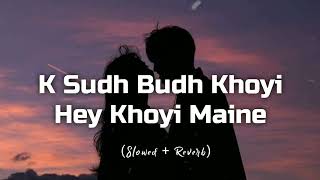 O Sudh Budh Khoyi Hey Khoyi Maine (Slowed + Reverb