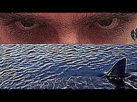 Video thumbnail for ​shark eye