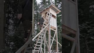 Wie geht Fuchsjagd? 🦊 von  @wildhuntblackforest4494