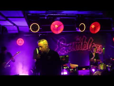 The Gamblers - LIVE Reggae Concert in Sosnowiec (11.04.2025) | Full Show