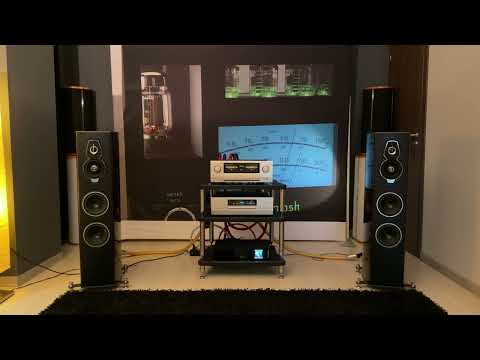 Is This The BEST Audio Setup of 2025? Accuphase & Sonus faber | Death of the Bull - Stavros Lantsias