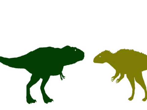 RESOUND:Tyrannosaurus vs acrocanthosaurus (by Dominiqueawesome12)