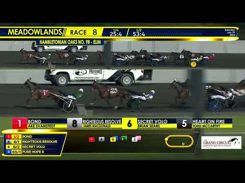 July 29, 2023 - Hambletonian Oaks Elimination - Race 8